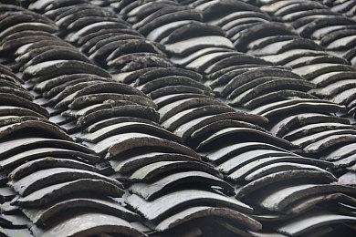 新里程碑！《先祖：人类奥德赛》销量突破150万套