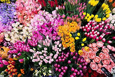 《消逝的光芒2》将依然会有武器耐久度系统